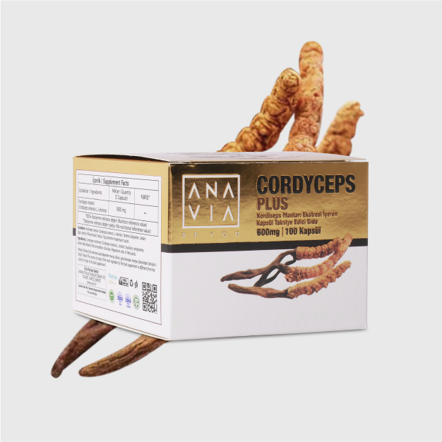 CORDYCEPS PLUS  3-PACK